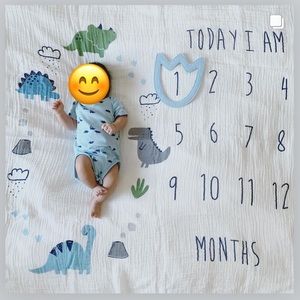 Gerber Dinosaur Monthly Milestone Blanket